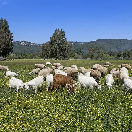 Ξενοδοχείο Oersmaris Boutique Μαρμαρίς
