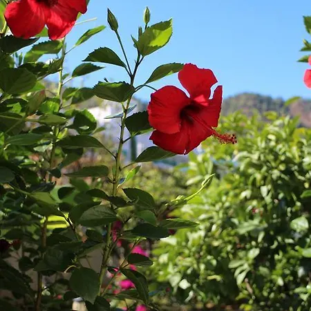 Oersmaris Boutique Hotel Marmaris